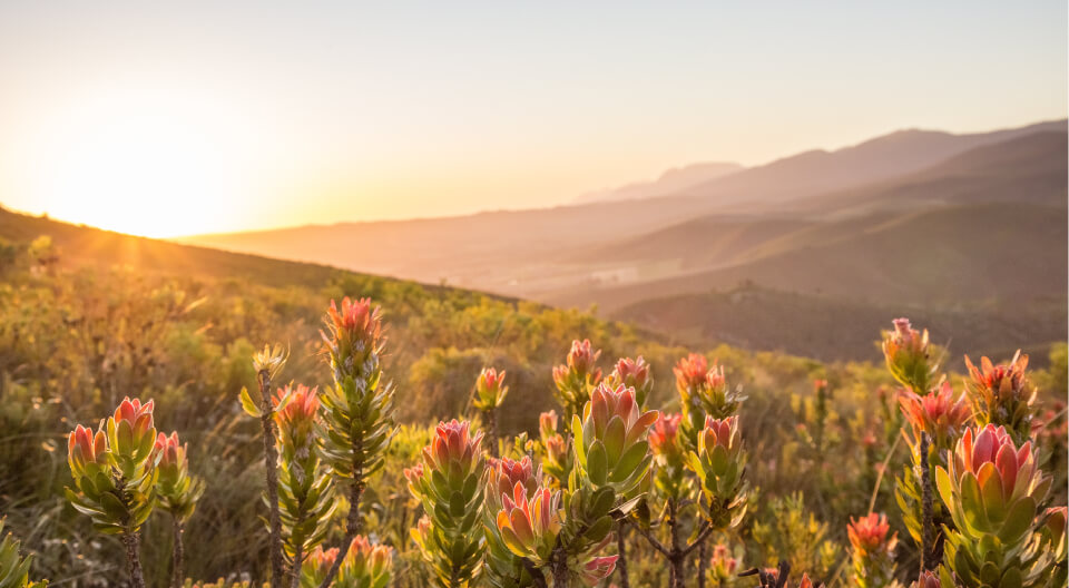 AdobeStock_285465279