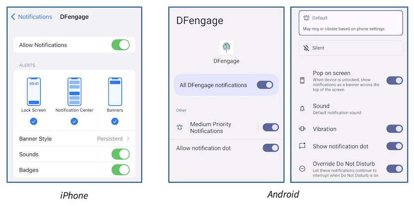 DFengage notification settings